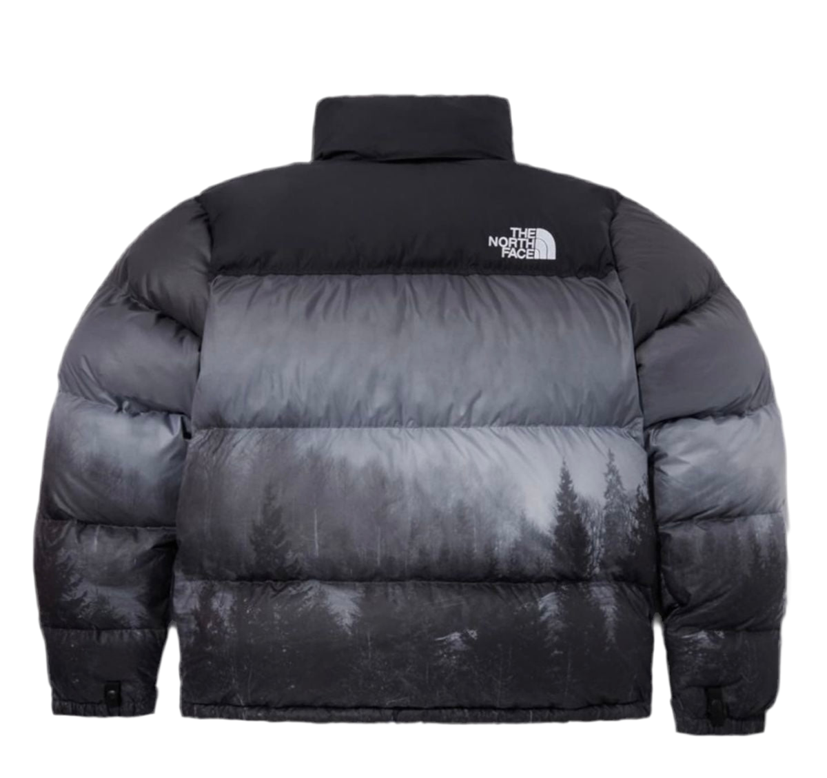 THE NORTH FACE Nuptse Down Jackets Unisex Black