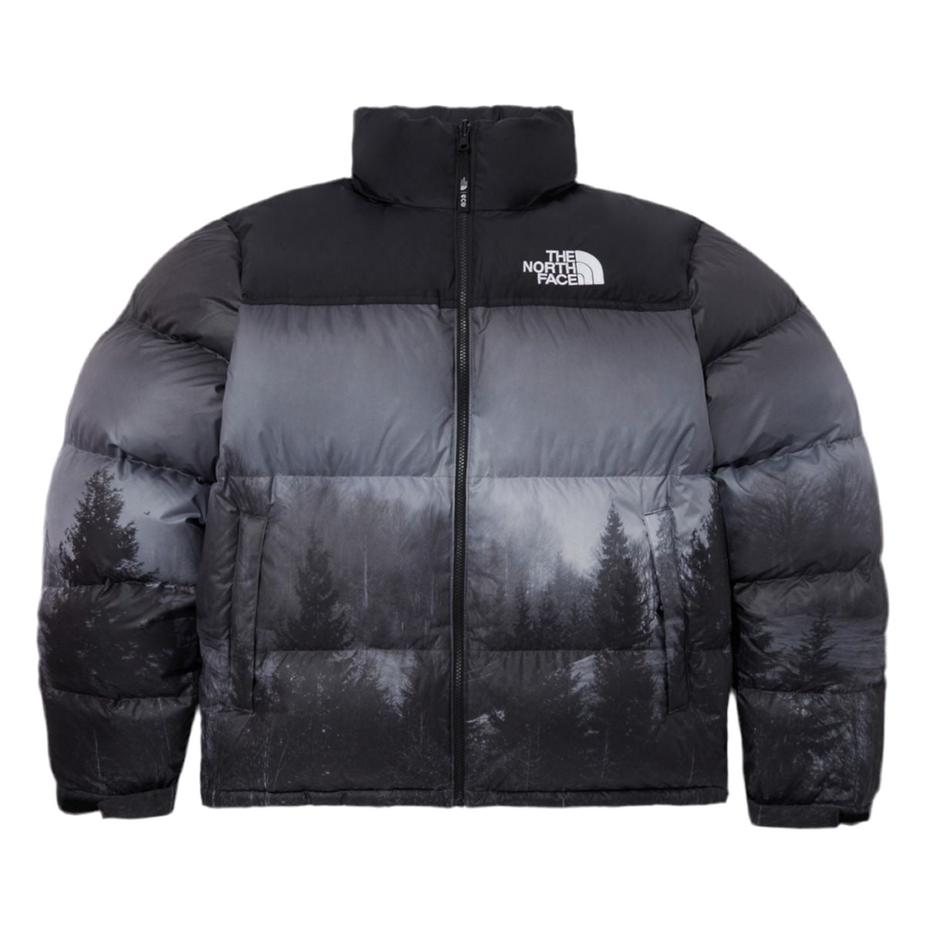 THE NORTH FACE Nuptse Down Jackets Unisex Black
